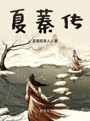 《夏蓁传》小说封面