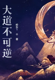 《大道不可逆》封面