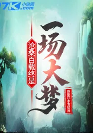 《沧桑百载重终是一场大梦》封面