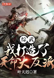 《综武：我打造了天命大反派》封面
