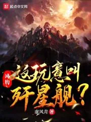 《鸿钧：这玩意叫歼星舰？》封面