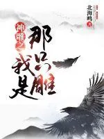 《神雕之我是那只雕》封面
