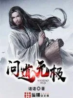 《问道无极》封面