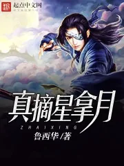 《真摘星拿月》封面