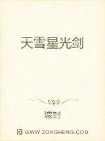 《天雪星光剑》小说封面