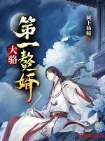 《大骆第一赘婿》封面