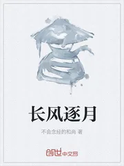 《长风逐月》封面