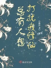 《总有人想打扰我修仙》封面