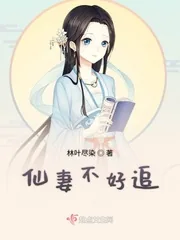 《仙妻不好追》封面