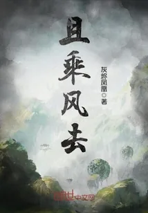 《且乘风去》封面