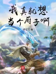 《我真就想当个厨子啊》小说封面