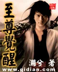 《至尊觉醒》小说封面
