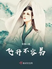 《飞升不容易》封面