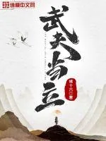 《武夫当立》封面