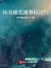 《你有被光速拳打过吗？》封面