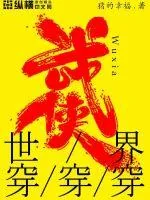 《武侠世界穿穿穿》封面