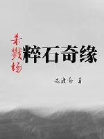 《杀戮场粹石奇缘》封面