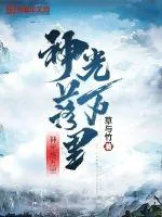 《神光落万里》封面