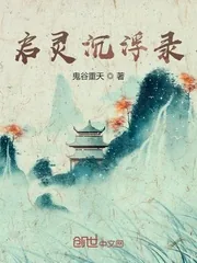 《启灵沉浮录》封面