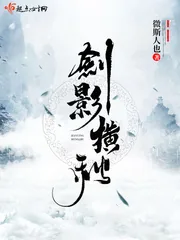 《剑影横秋》封面