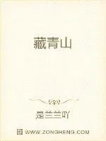 《藏海》封面