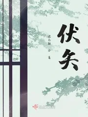 《伏矢》封面