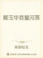 《卿玉华音星河落》封面