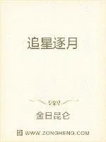 《追星逐月》小说封面
