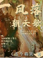 《凤落朝天歌》封面