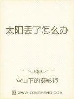 《太阳丢了怎么办》小说封面