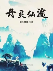 《丹灵仙途》封面