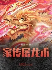《家传屠龙术》封面