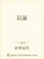 《凤巢》封面