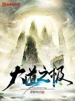 《大道之极》封面