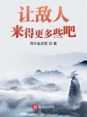 《让敌人来得更多些吧》封面
