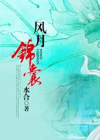 《风月锦囊》小说封面