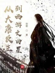 《从大唐反王到西游文曲星》封面