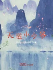 《天道小少爷》封面