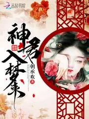 《神君入梦来》封面
