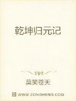 《乾坤归元记》封面
