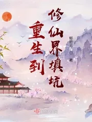 《重生到修仙界填坑》封面