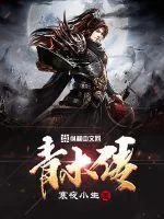 《青木传》封面