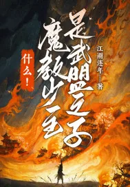 《什么！魔教少主是武盟之子》封面