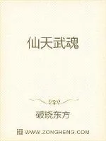 《仙天武魂》封面