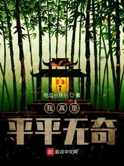 《我真是平平无奇》封面