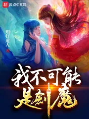 《我不可能是剑魔》封面