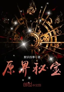 《原界秘宝》小说封面