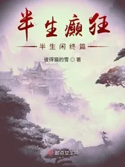 《半生癫狂半生闲》封面