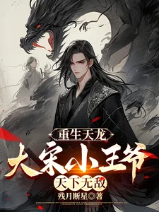 《重生天龙,大宋小王爷,天下无敌》小说封面