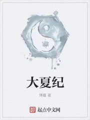 《大夏纪》封面